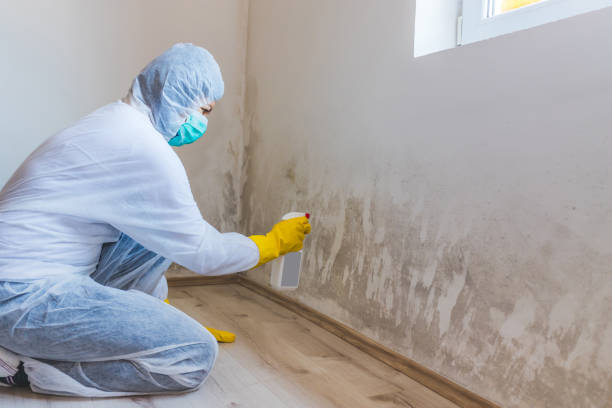 Licensed Mold Testing service in Waverly, VA - WQB Mold Removal