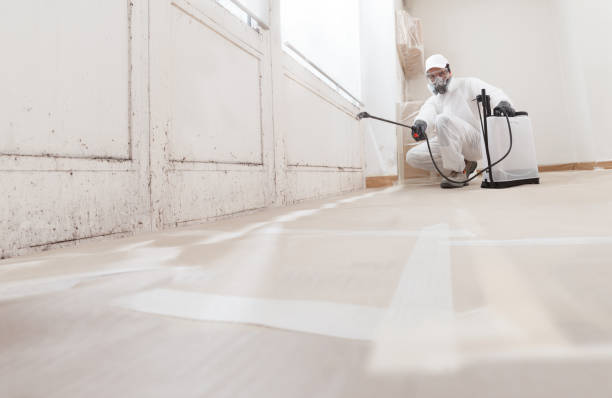 24/7 Emergency Mold Testing experts in Waverly, VA