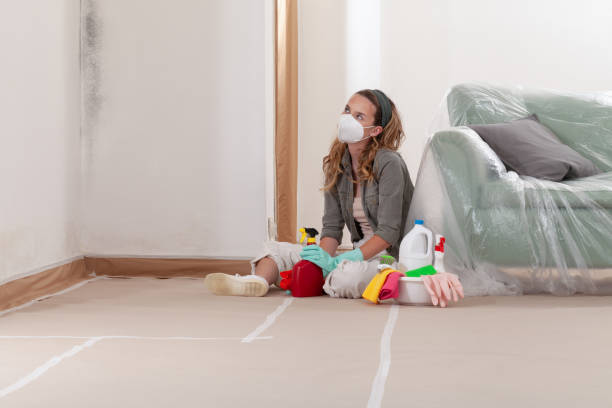 Reliable Mold Testing contractor in Waverly, VA by WQB Mold Removal