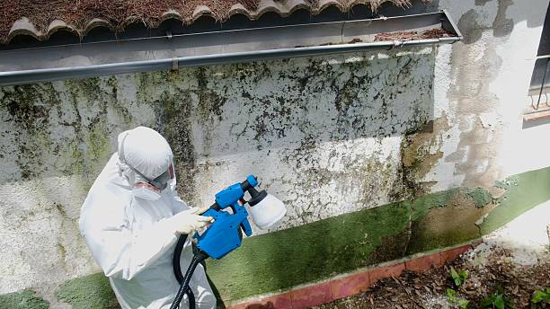 Top rated local Mold Testing specialists in Waverly, VA